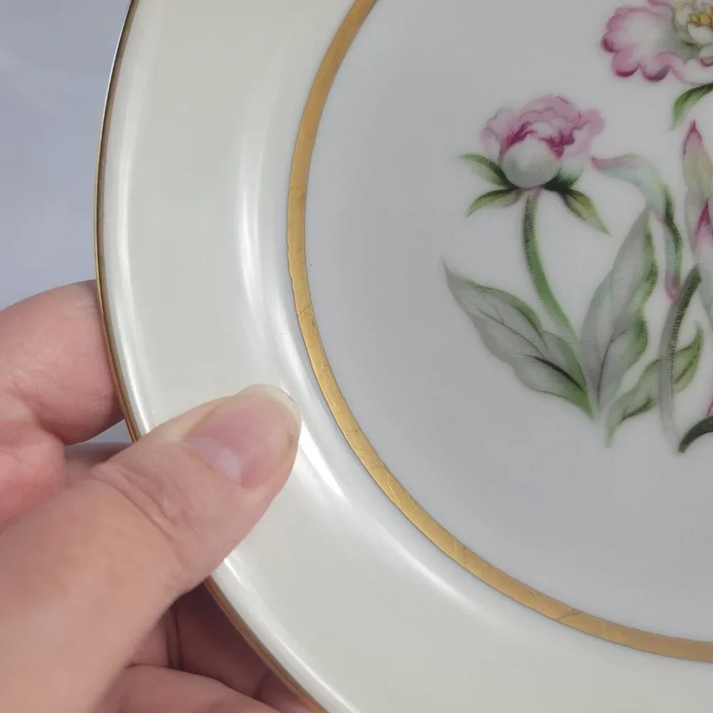 FOUR Mikado Harmony Coupe Soup Bowls Cream Rim Pink Floral Center